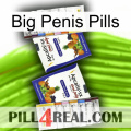 Big Penis Pills 12